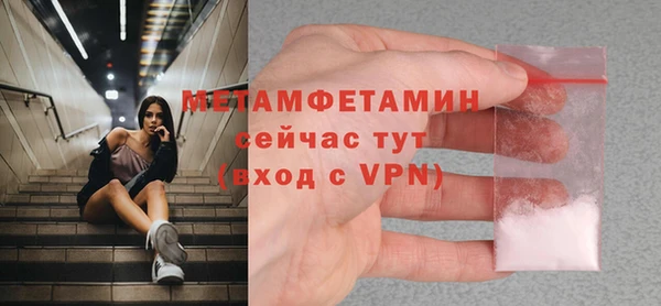 прущие грибы Богданович