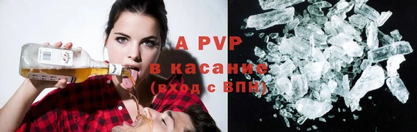 прущие грибы Богданович