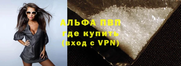 прущие грибы Богданович