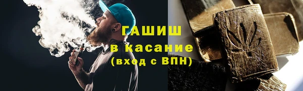 прущие грибы Богданович