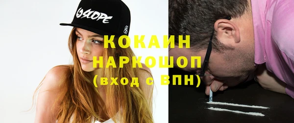 прущие грибы Богданович