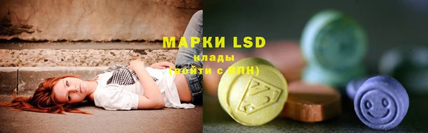 прущие грибы Богданович
