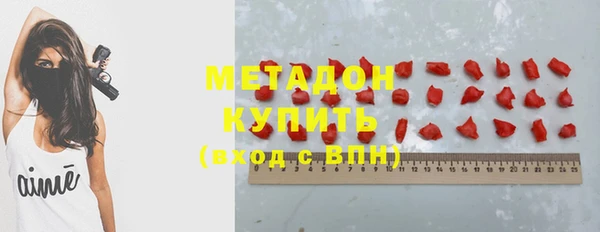 прущие грибы Богданович