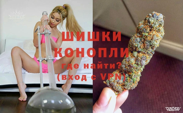 мдпв Богородск