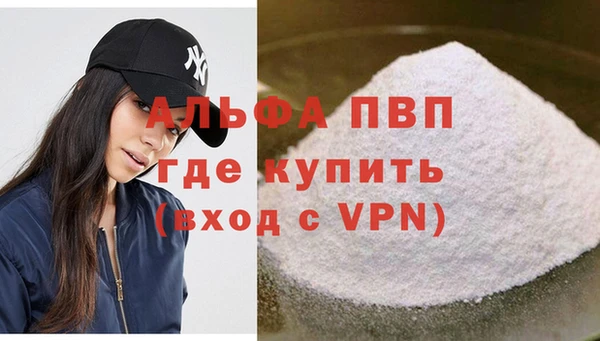 прущие грибы Богданович