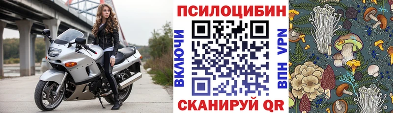 Галлюциногенные грибы Psilocybine cubensis Высоковск